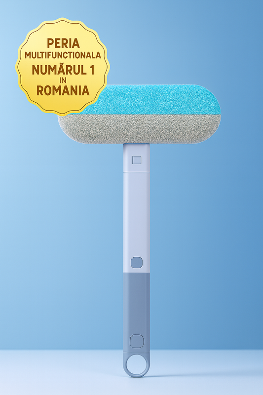 poza 1 refacuta 11 aug. 2025, 08_15_26.png__PID:845a6364-029c-4c84-8e53-3443b256c111